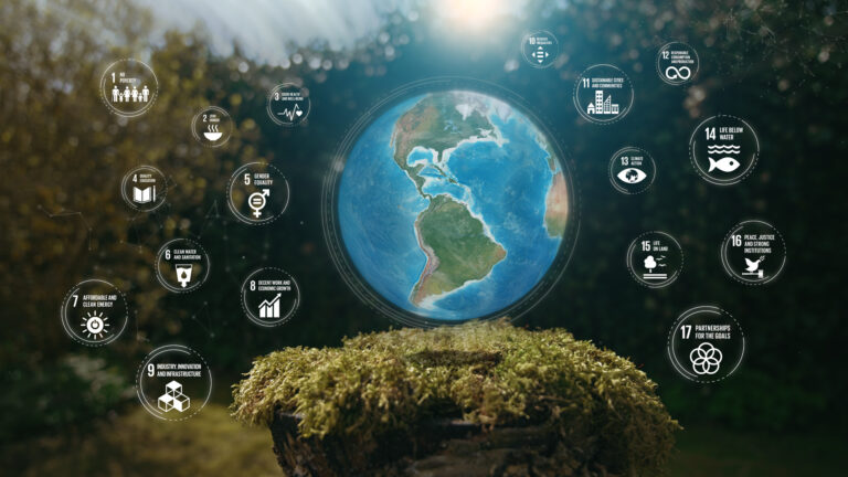 Earth America The 17 Global Goals for 2030 Plexus Mos on Tree stump Nature Background