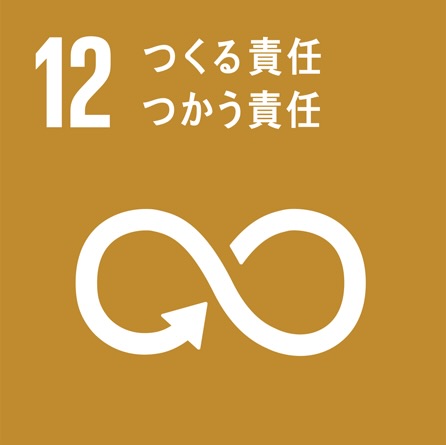 sdg 12 jp